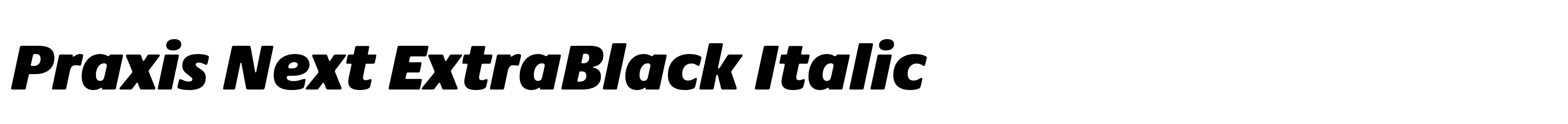 Praxis Next ExtraBlack Italic